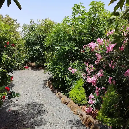 Bougainville Дом отдыха Ля Оротава