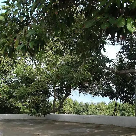 Сasa de vacaciones Bougainville