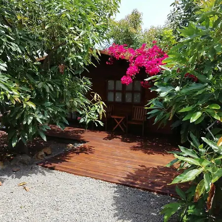 Дом отдыха Bougainville *
